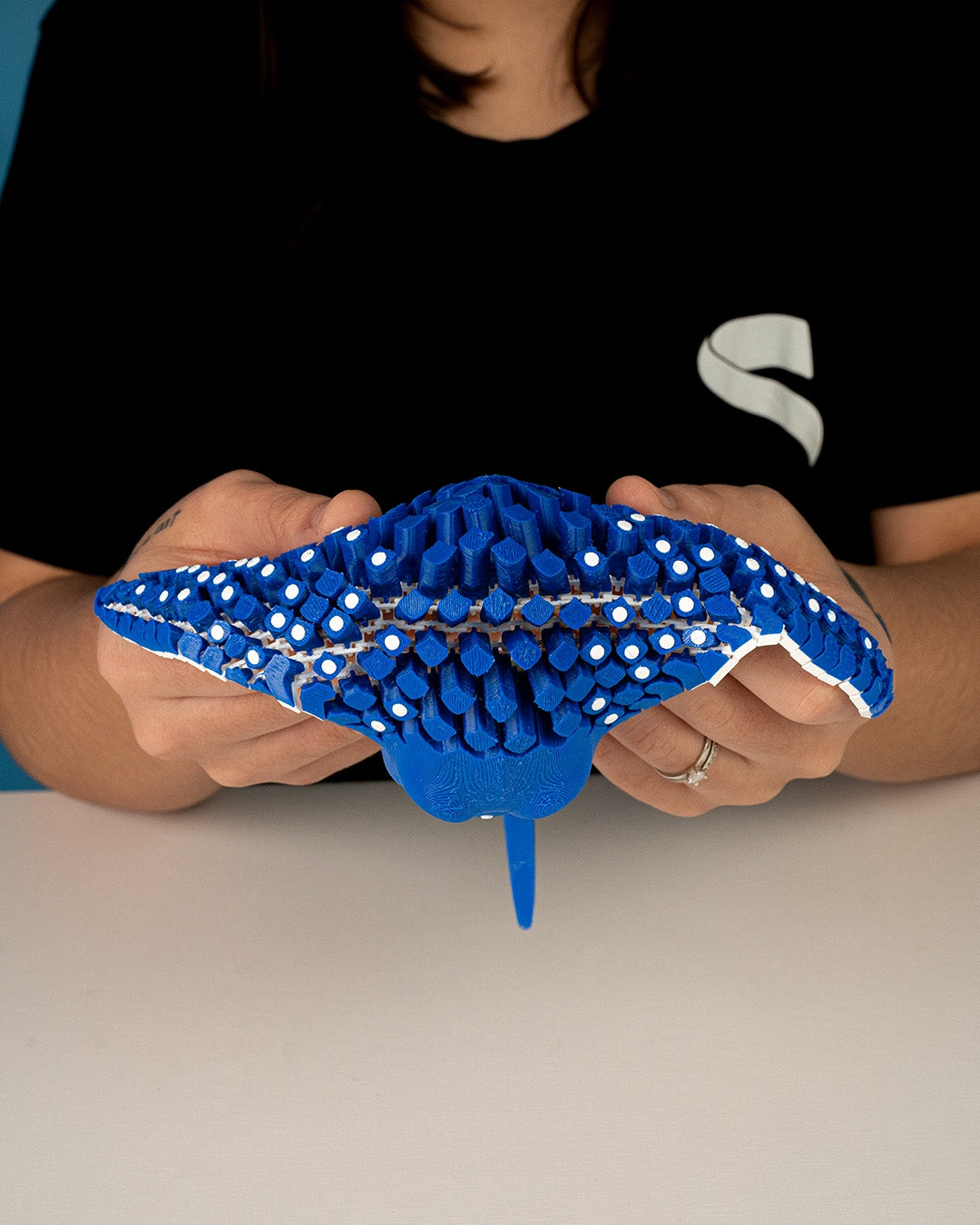 3D Printed Articulated Figure Flexi/Mesh (Igor, the Spotted Eagle Ray) Desk Decor